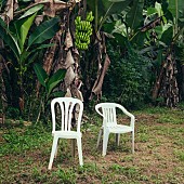 「【米ビルボード・ソング・チャート】バッド・バニー「DtMF」がスペイン語ソロ楽曲として初の首位＆4曲がランクイン」1枚目/1