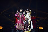 「＜ライブレポート＞King &amp;amp; Prince、情熱とティアラへの深い愛を胸に全32曲を全力パフォーマンス」1枚目/3