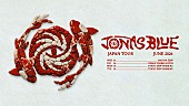 「ジョナス・ブルー、2026年6月に来日公演決定」1枚目/1