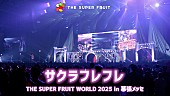 「THE SUPER FRUIT、幕張メッセ公演より「サクラフレフレ」ライブ映像を公開」1枚目/2
