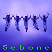 「アルバム『Sebone -脊髄盤-』ジャケット写真」3枚目/3