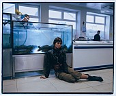 「ビーバドゥービー、ザ・マリアスを迎えた新曲「All I Did Was Dream Of You」をリリース＆MV公開」1枚目/2