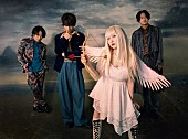 「アカシック、ジャンル縛りワンマンライブ開催決定」1枚目/3