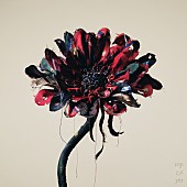 「Vaundy 配信シングル「呼び声」」3枚目/4