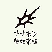 「ナナホシ管弦楽団」2枚目/4