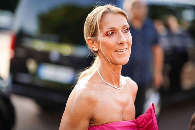 「セリーヌ・ディオン、パリでカムバック・コンサートを計画中か」1枚目/1