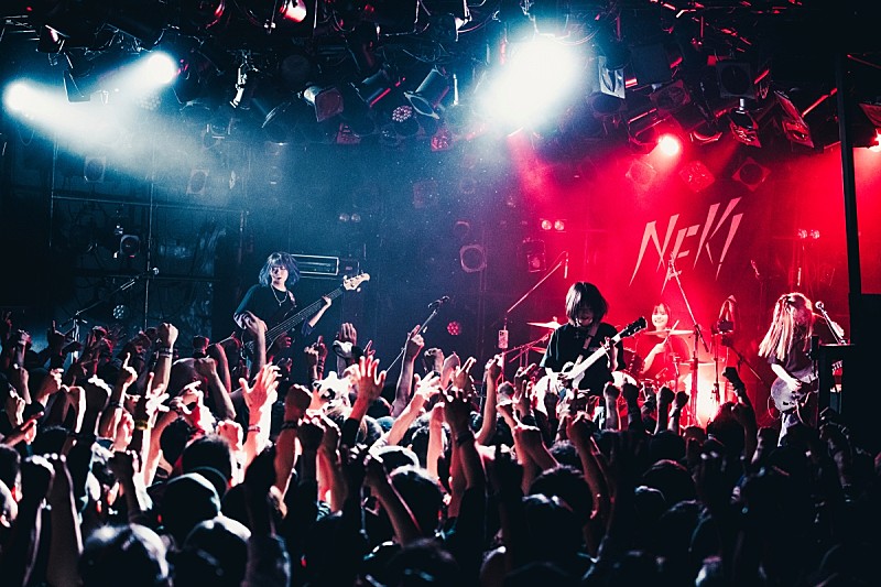 「<ライブレポート>NEK!、大盛り上がりのツアーファイナルから踏み出した新たなスタート」1枚目/9
